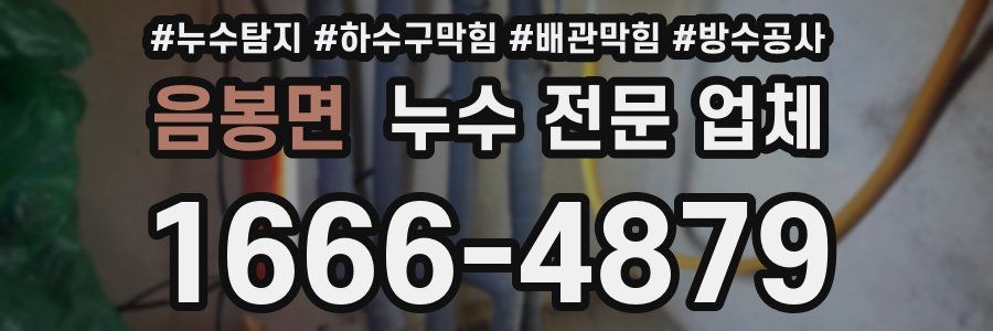 음봉면 누수 전문 업체