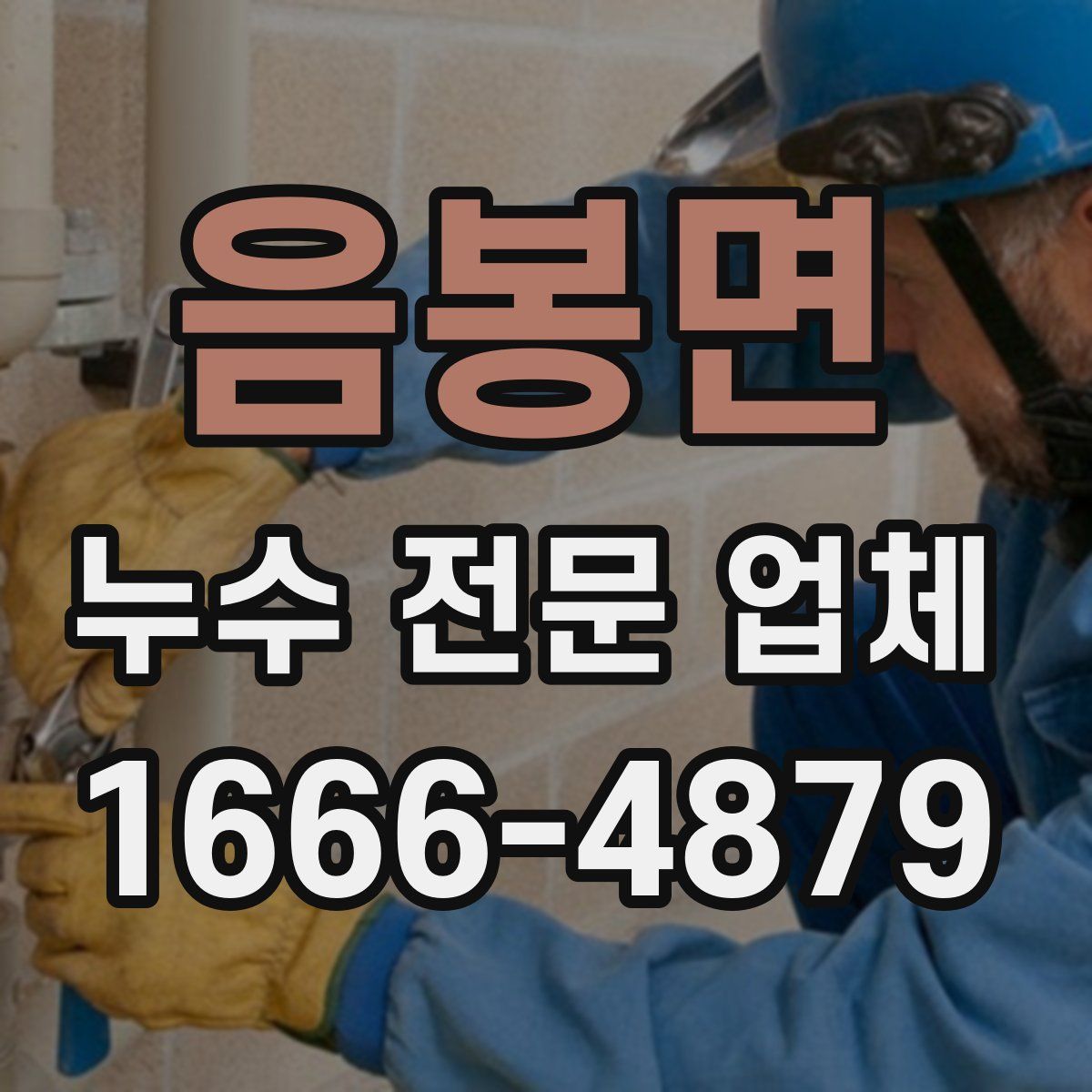 음봉면 누수 전문 업체