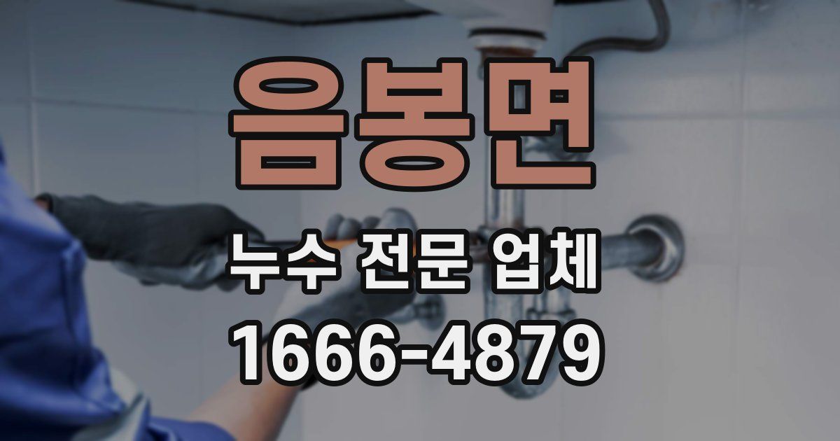 음봉면 누수 전문 업체