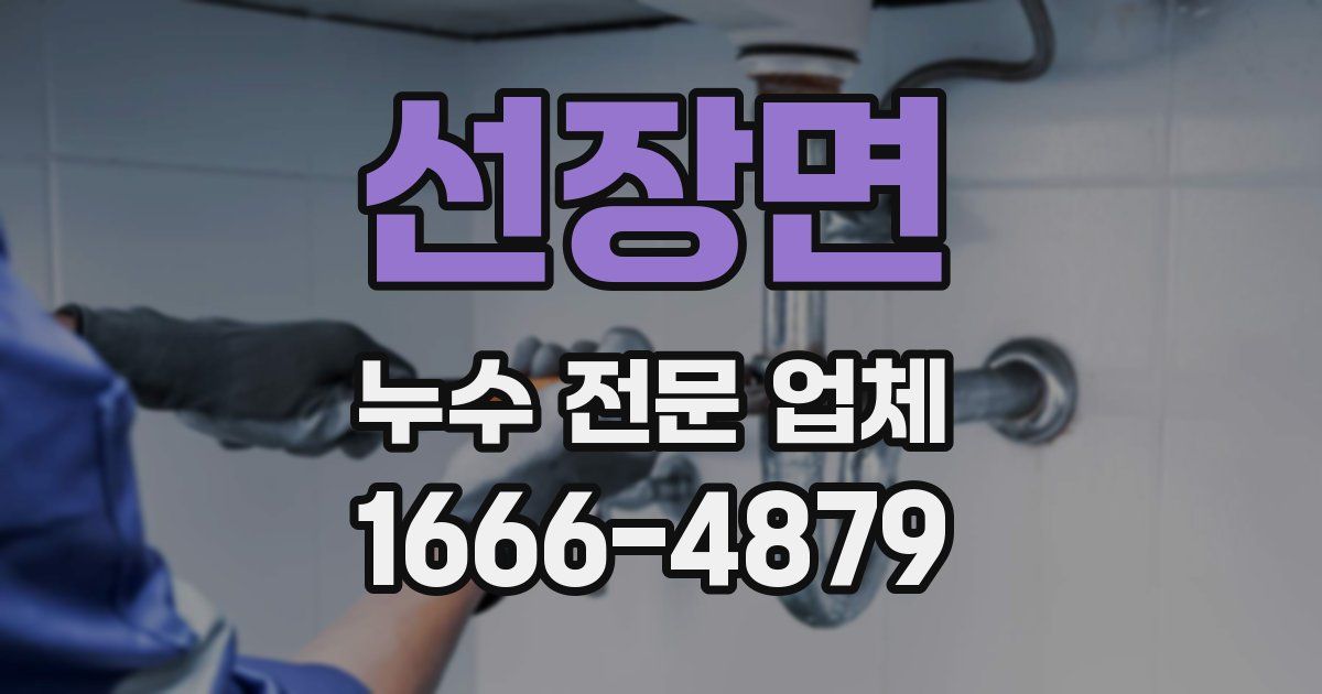 선장면 누수 전문 업체