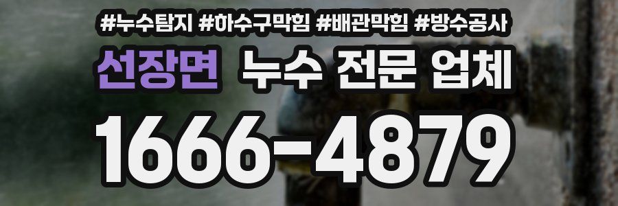선장면 누수 전문 업체