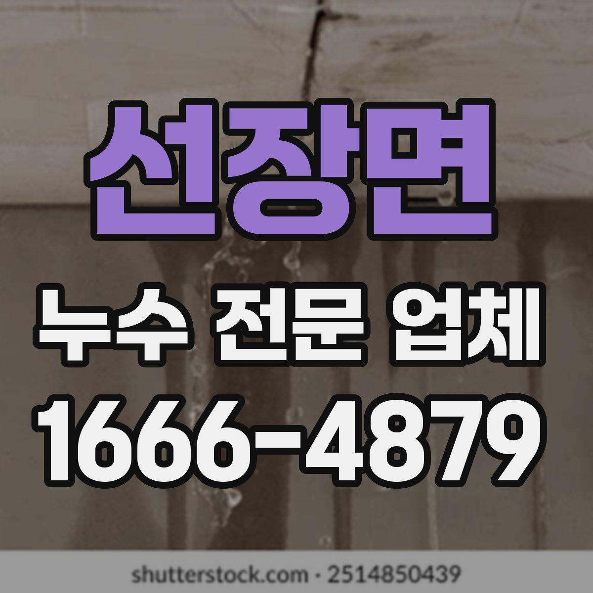 선장면 누수 전문 업체