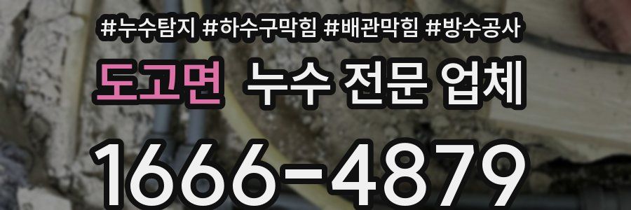 도고면 누수 전문 업체
