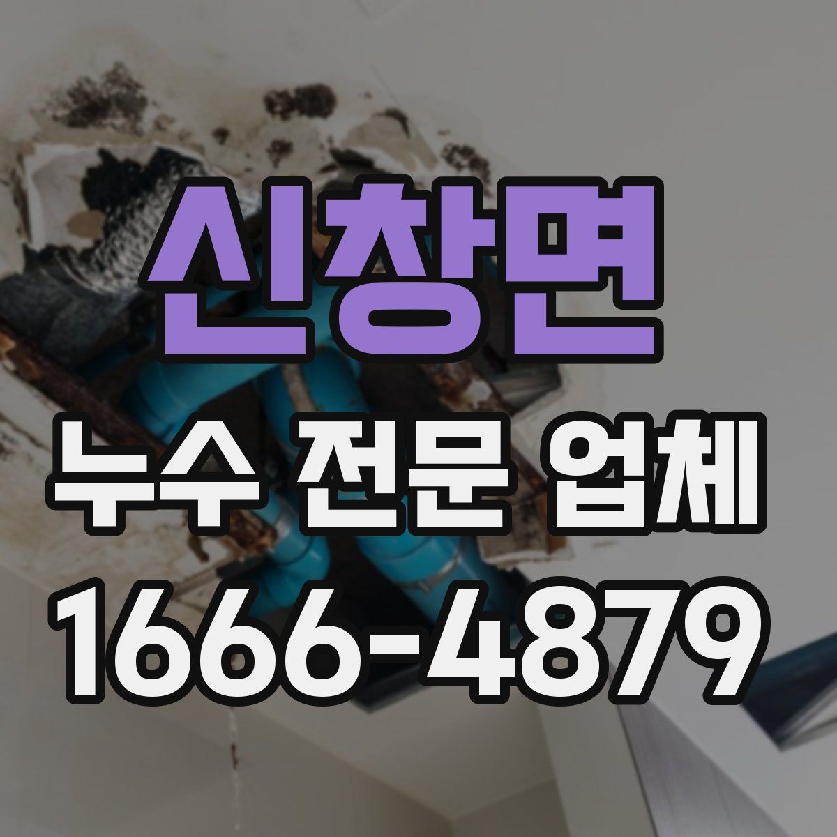 신창면 누수 전문 업체