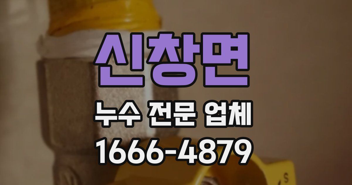 신창면 누수 전문 업체