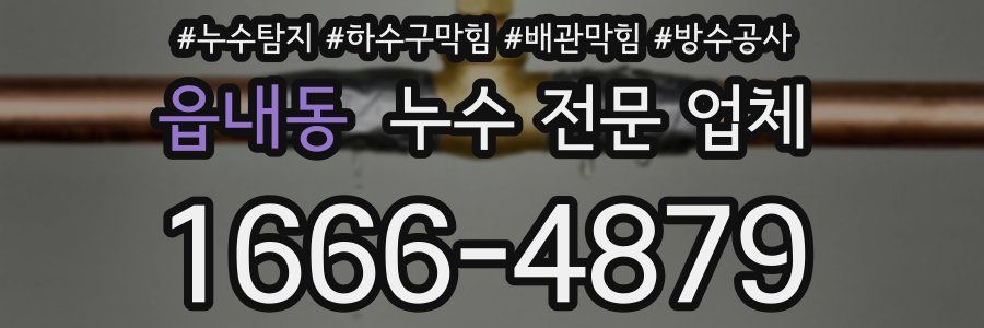 읍내동 누수 전문 업체