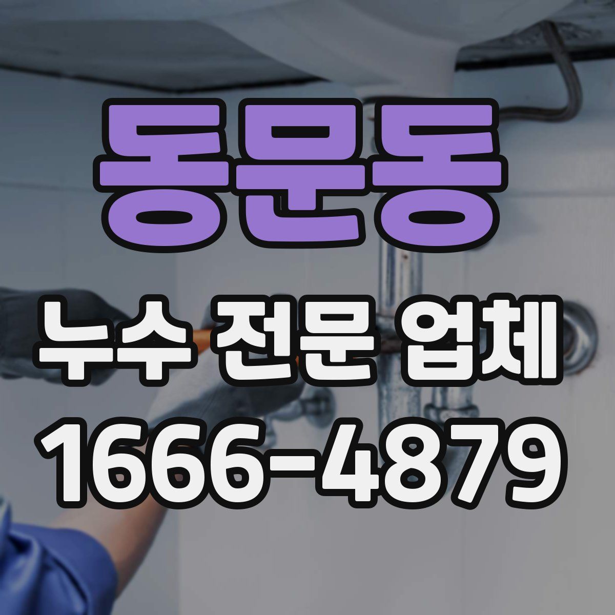 동문동 누수 전문 업체