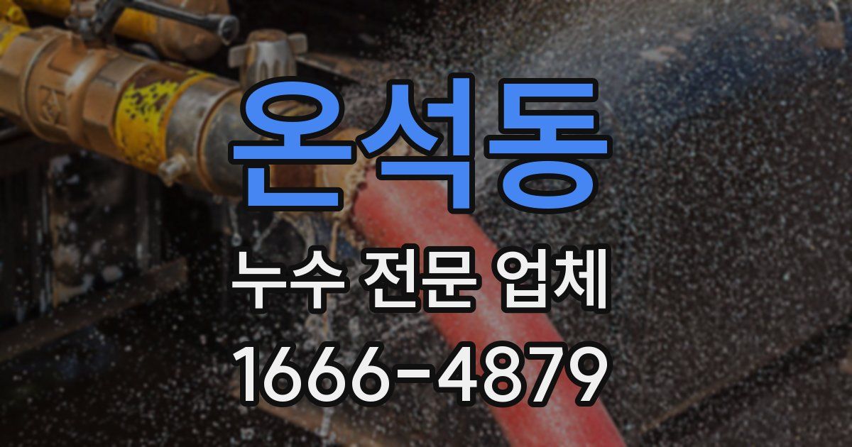 온석동 누수 전문 업체