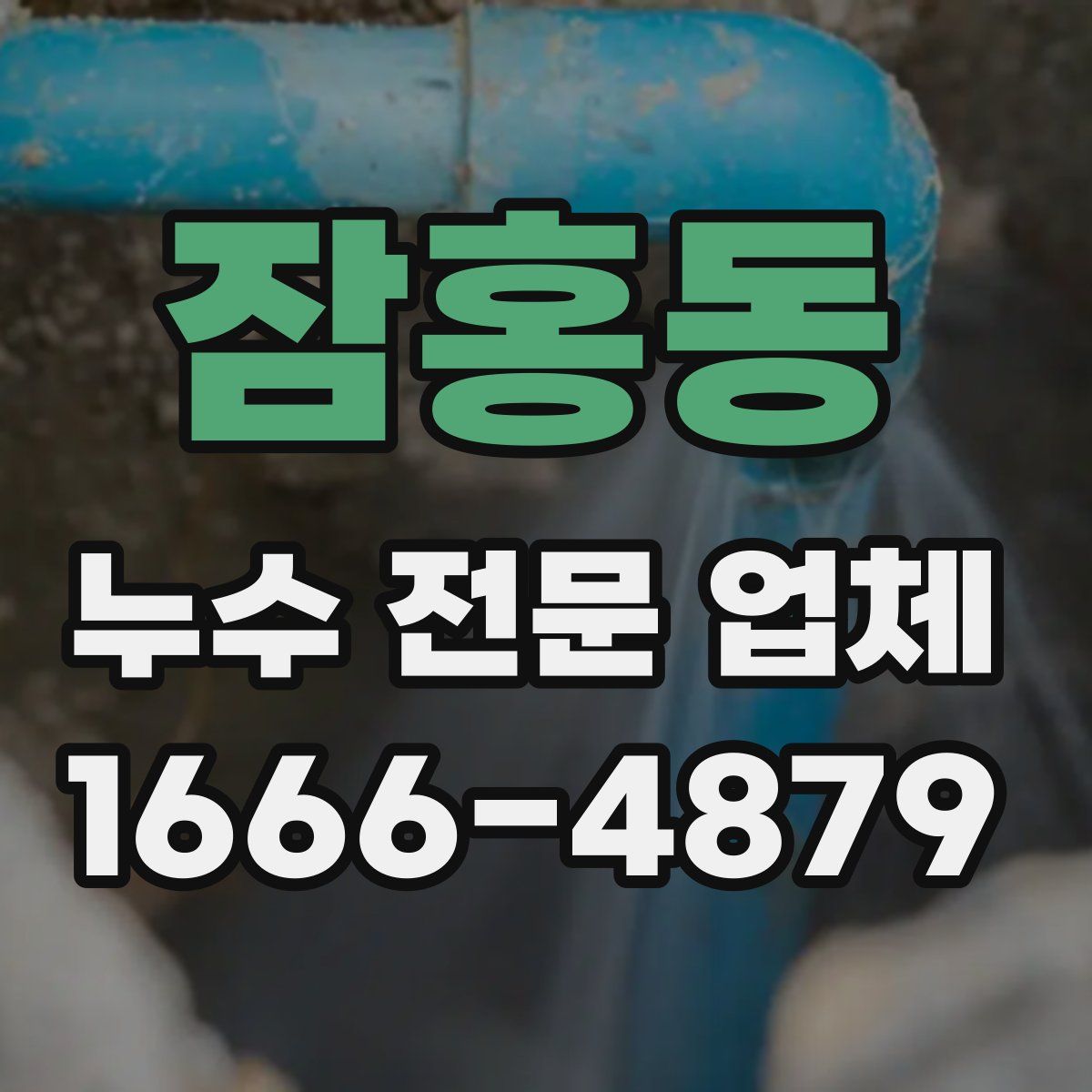 잠홍동 누수 전문 업체