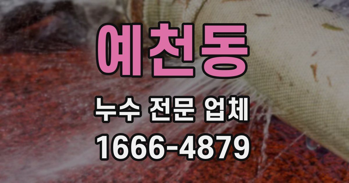 예천동 누수 전문 업체