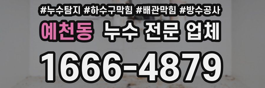 예천동 누수 전문 업체