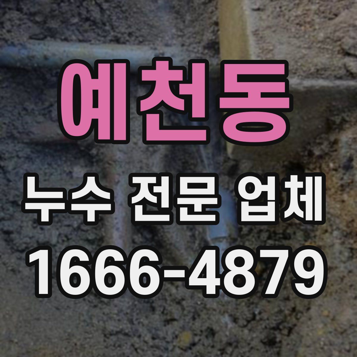 예천동 누수 전문 업체