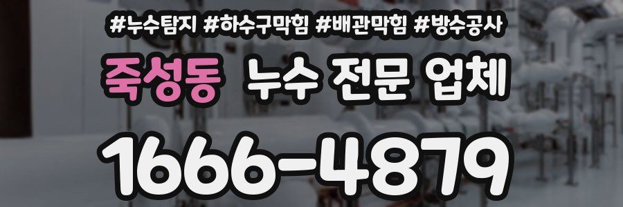 죽성동 누수 전문 업체