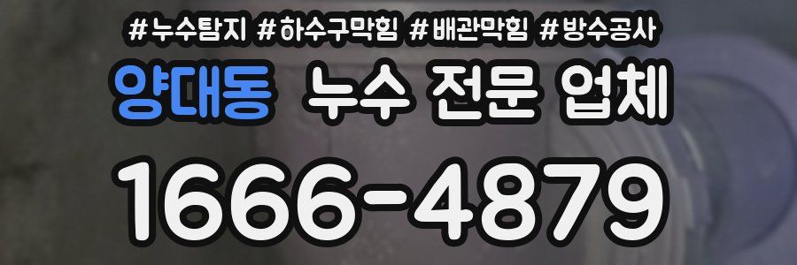 양대동 누수 전문 업체