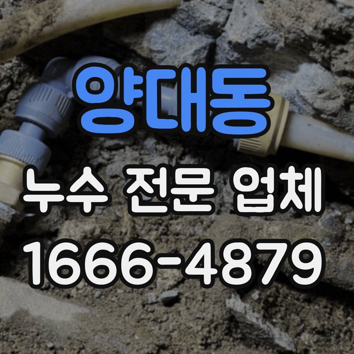 양대동 누수 전문 업체