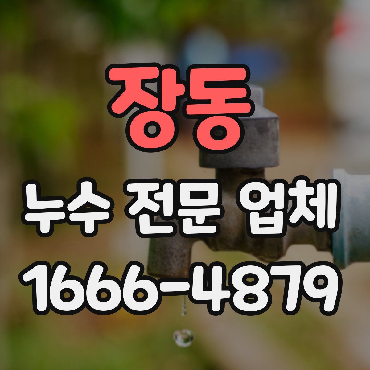 장동 누수 전문 업체