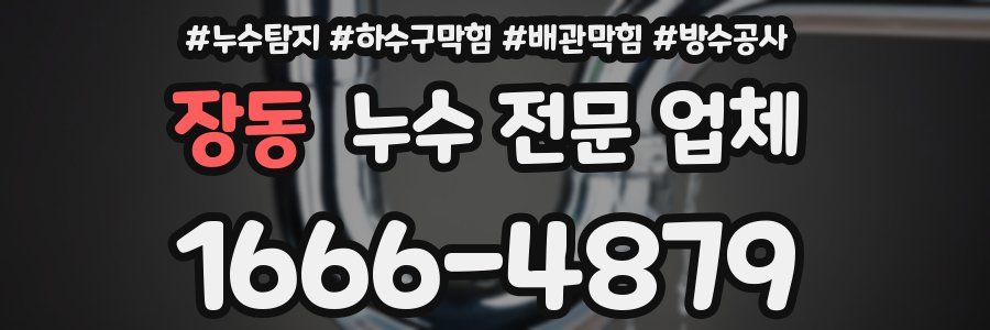 장동 누수 전문 업체