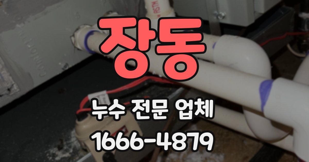 장동 누수 전문 업체