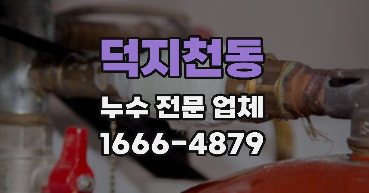 덕지천동 누수 전문 업체
