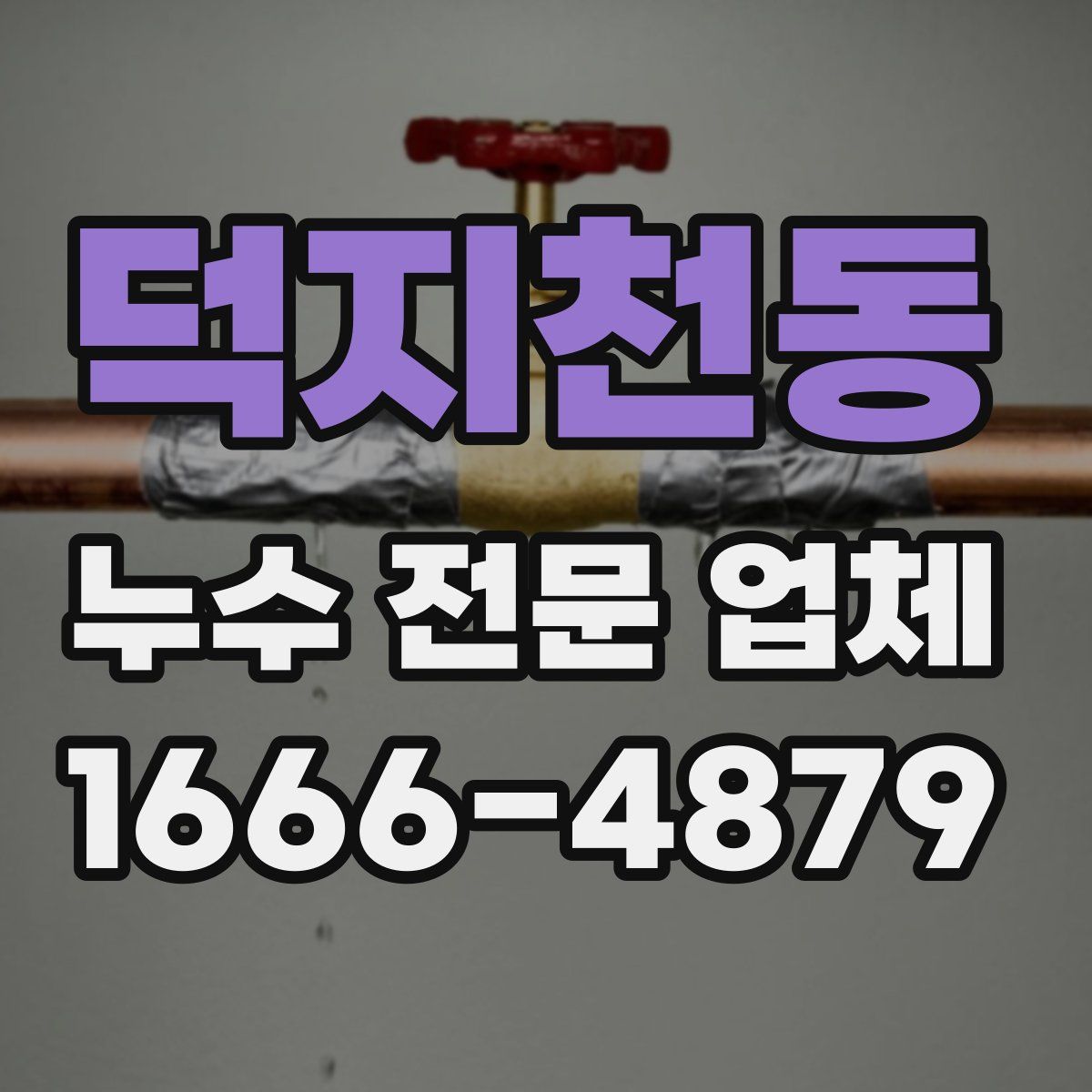 덕지천동 누수 전문 업체