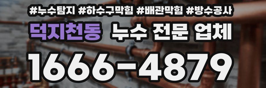 덕지천동 누수 전문 업체