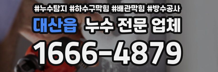 대산읍 누수 전문 업체