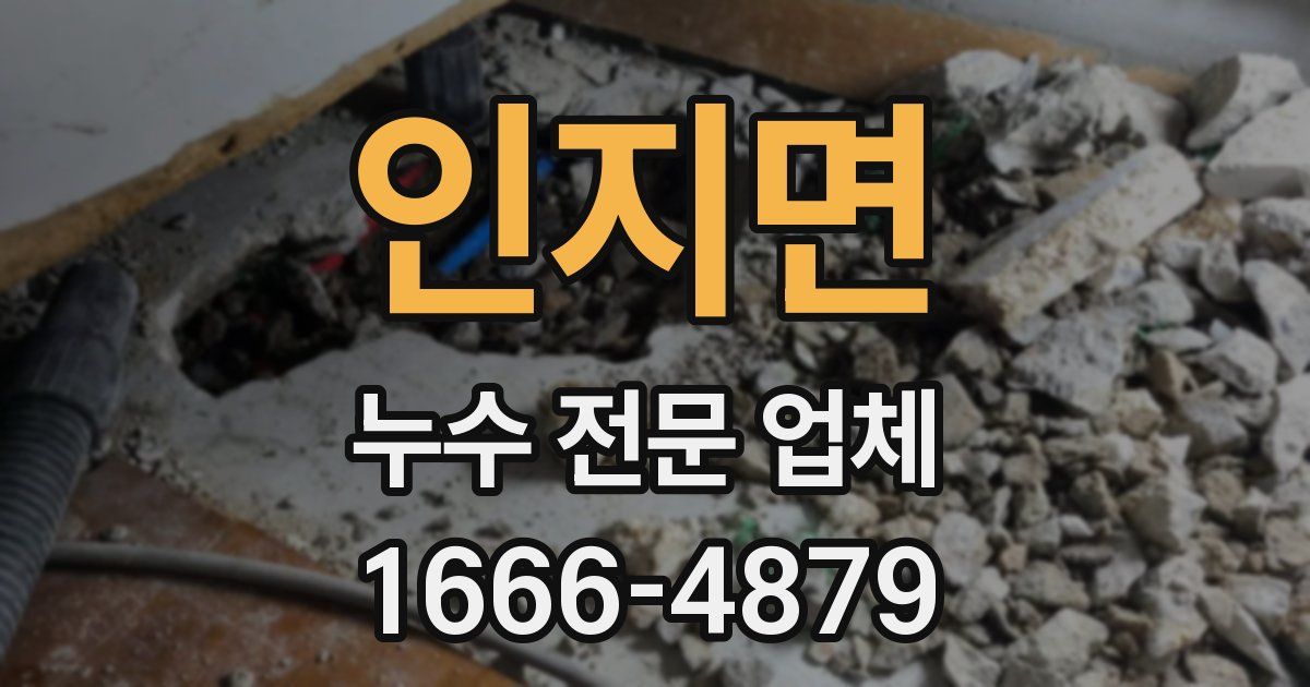 인지면 누수 전문 업체