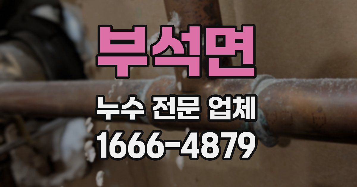 부석면 누수 전문 업체