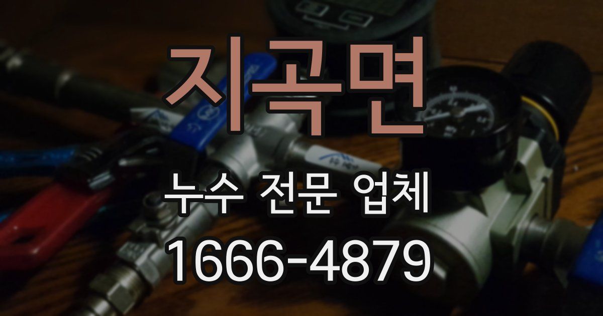 지곡면 누수 전문 업체