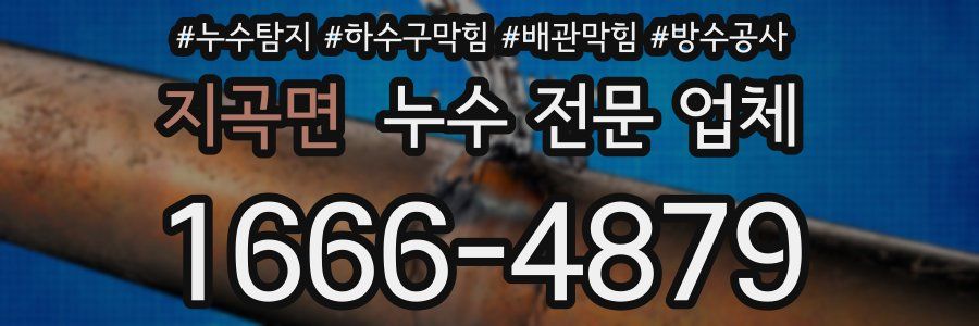 지곡면 누수 전문 업체