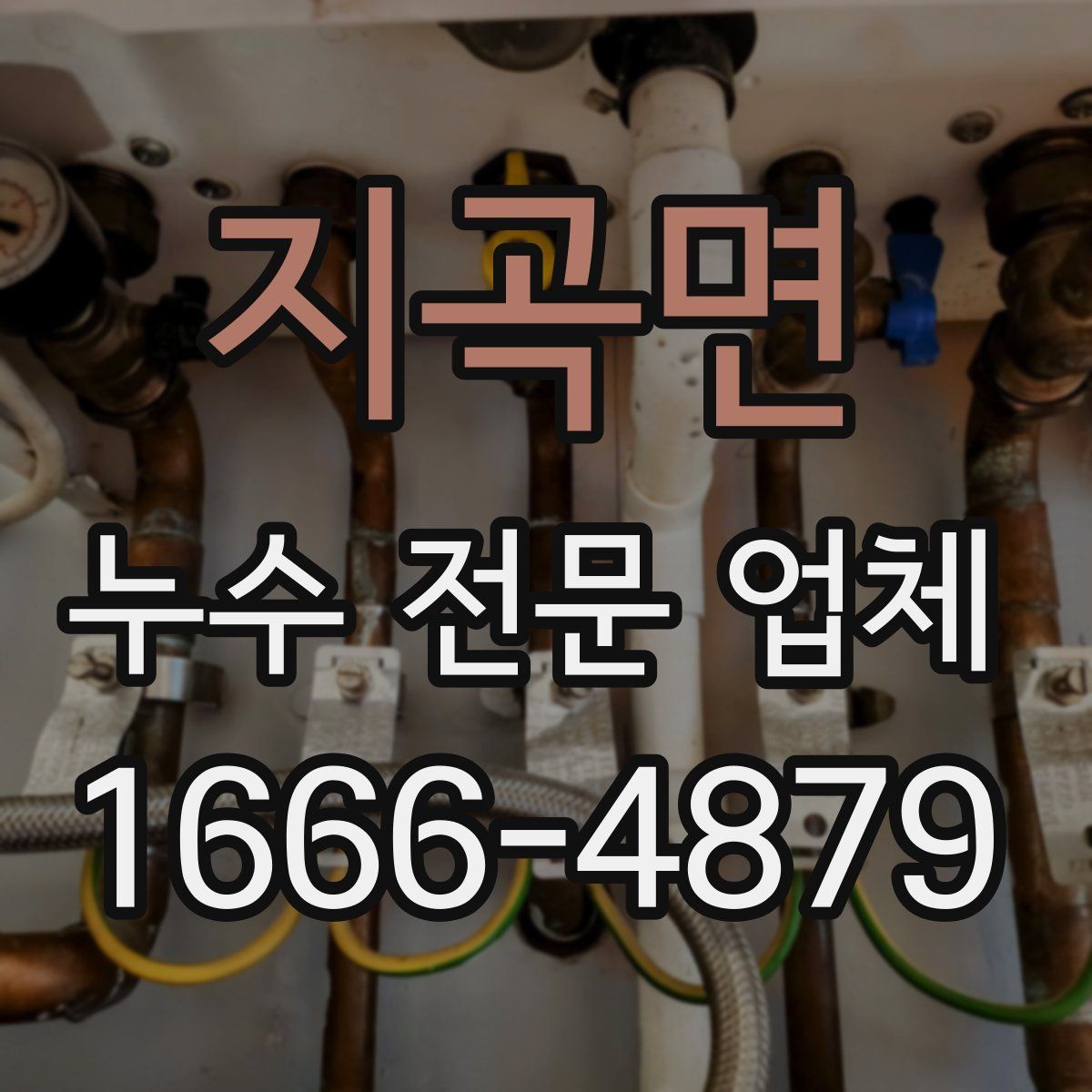 지곡면 누수 전문 업체
