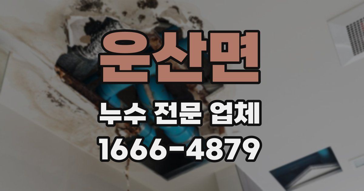 운산면 누수 전문 업체