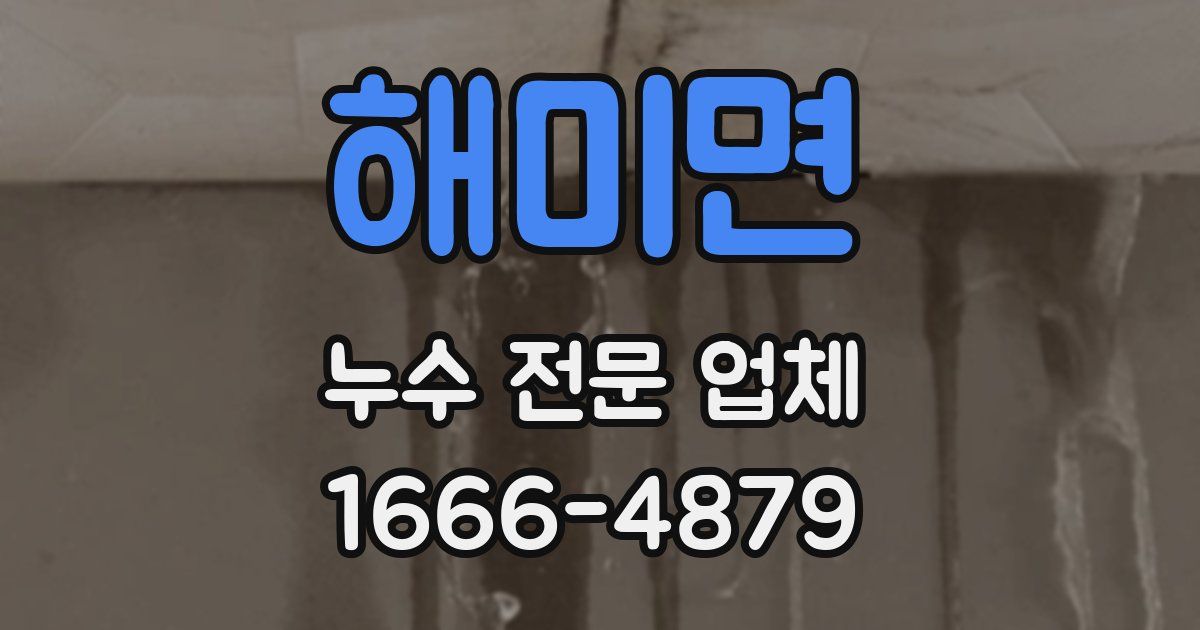 해미면 누수 전문 업체