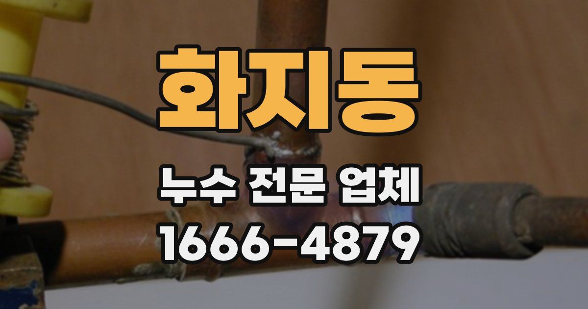 화지동 누수 전문 업체