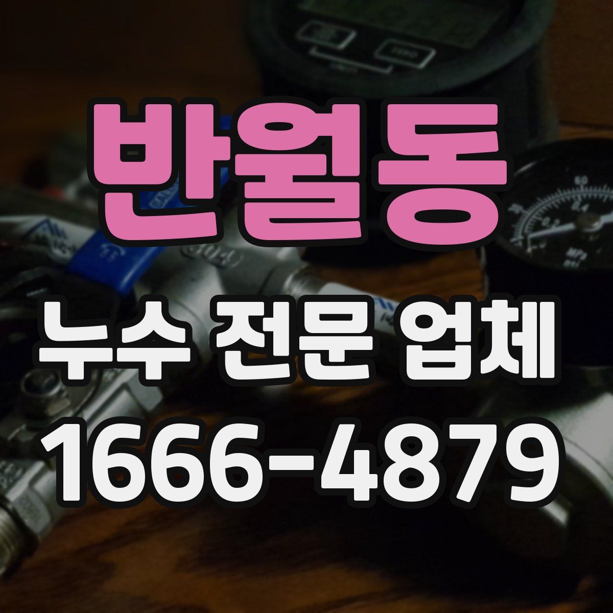 반월동 누수 전문 업체