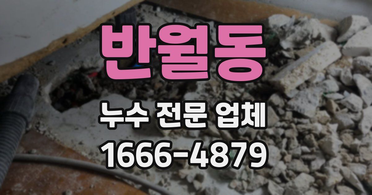 반월동 누수 전문 업체