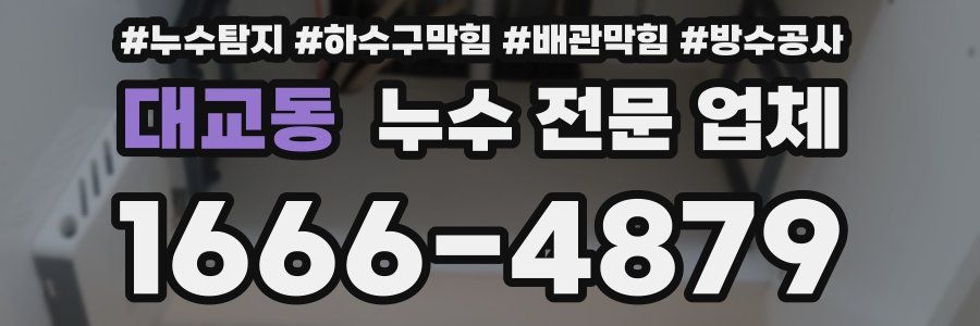 대교동 누수 전문 업체
