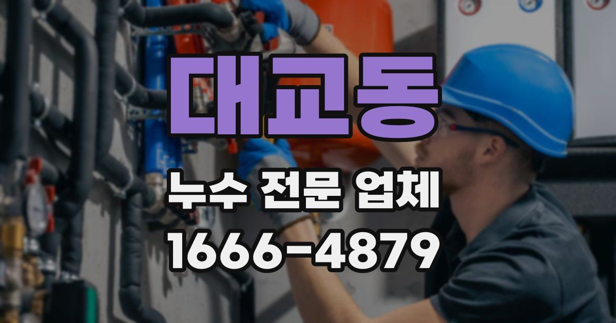 대교동 누수 전문 업체