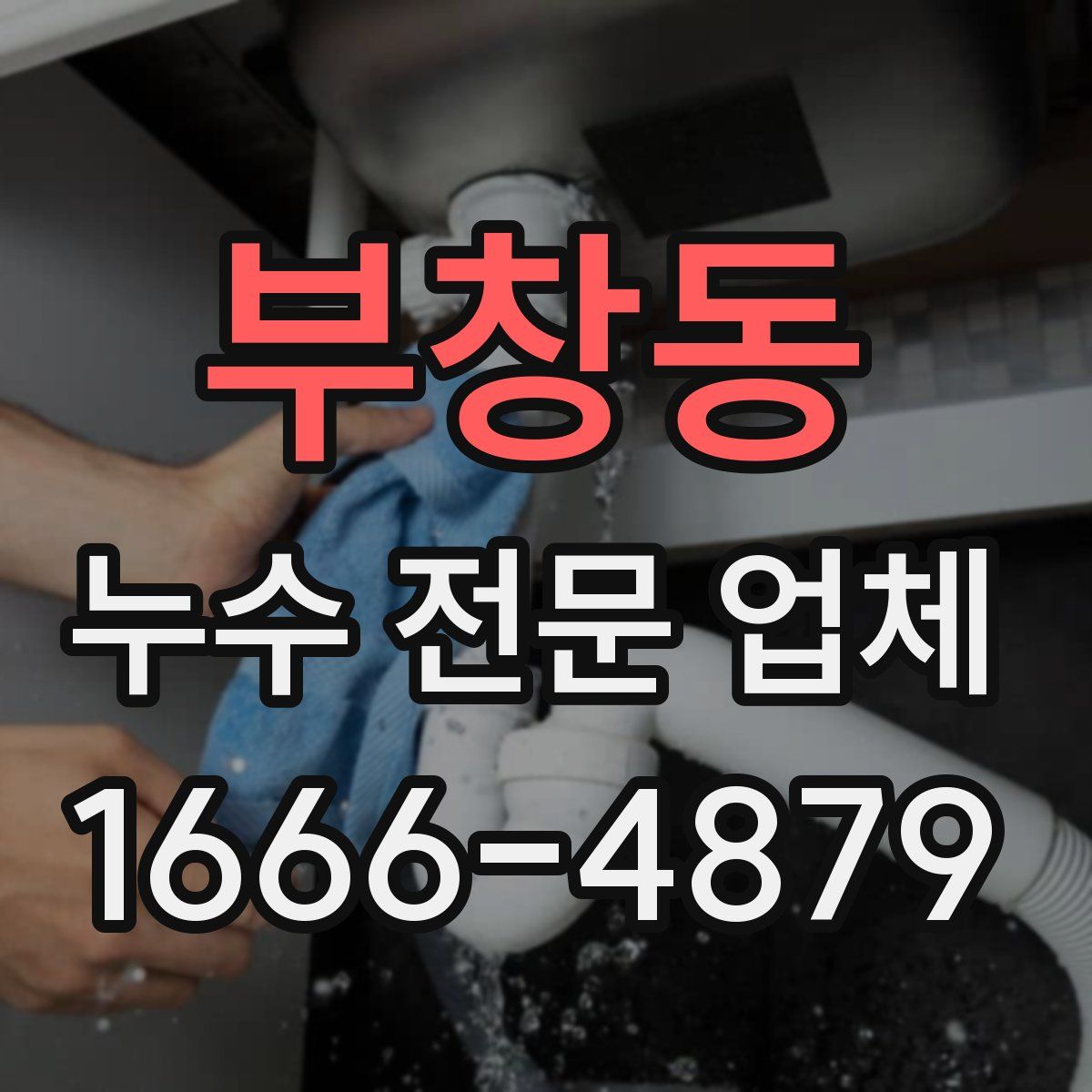 부창동 누수 전문 업체
