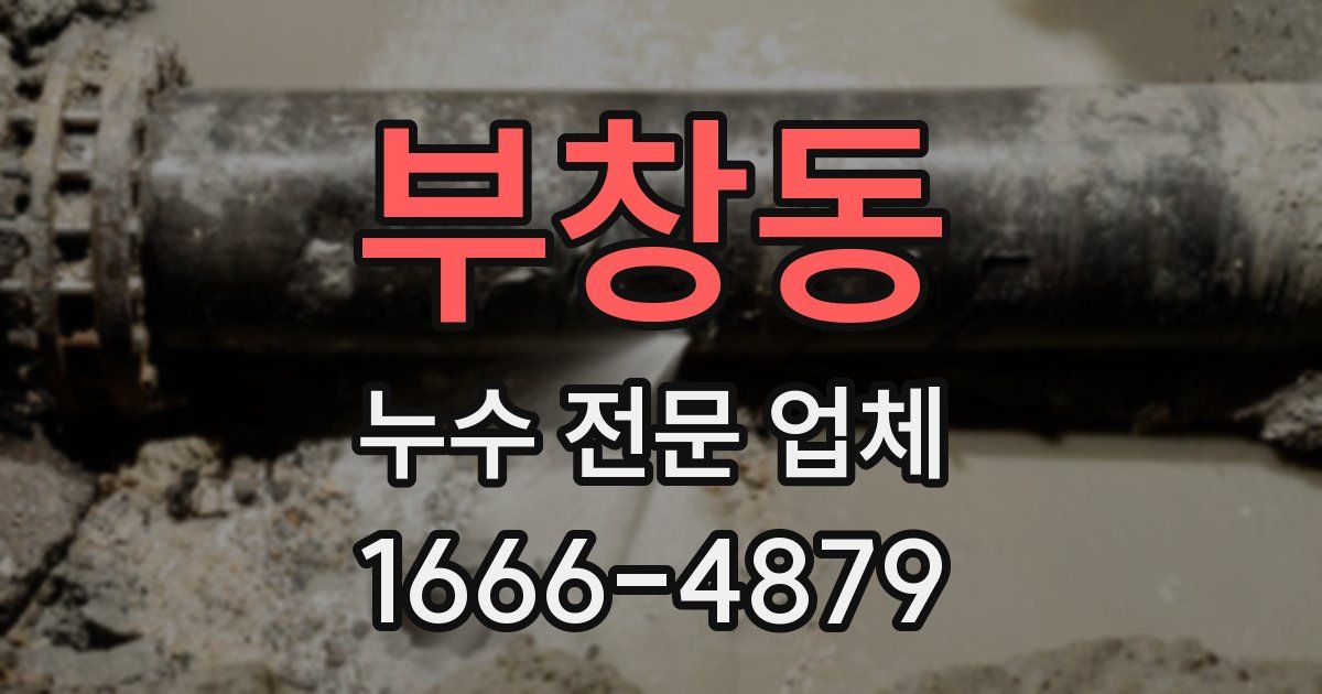 부창동 누수 전문 업체