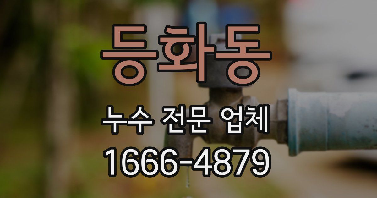 등화동 누수 전문 업체