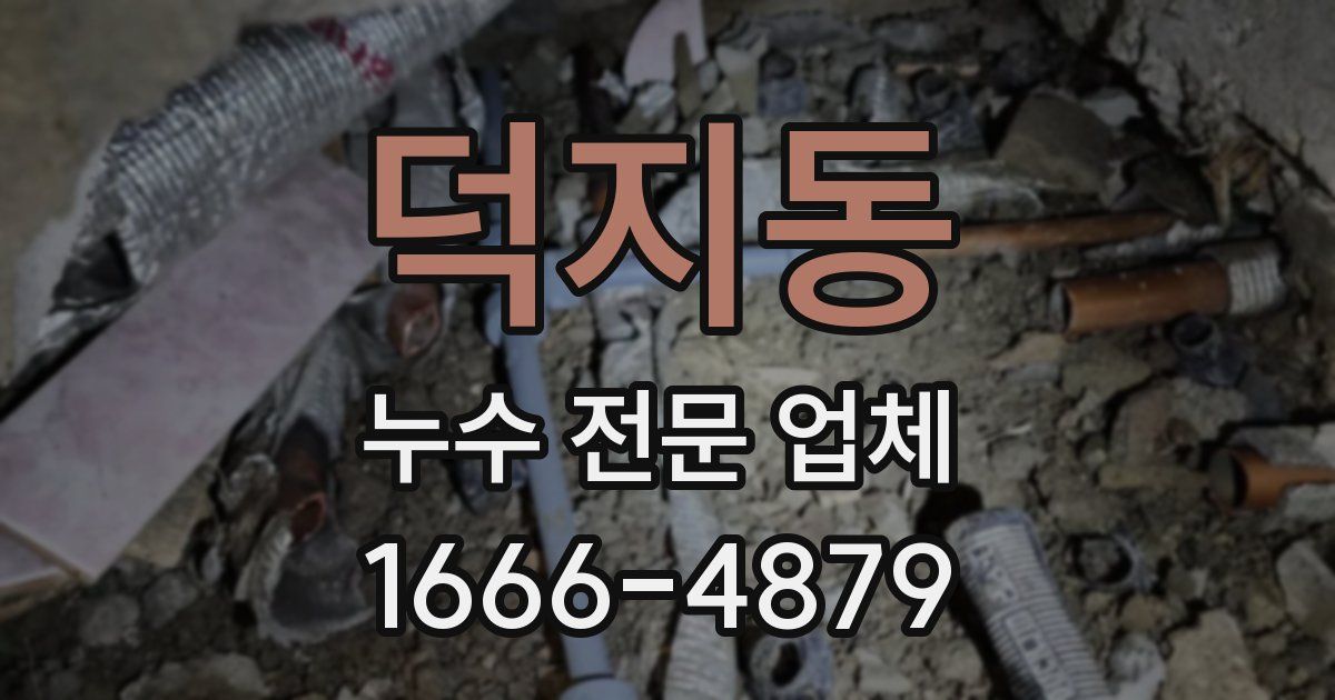 덕지동 누수 전문 업체