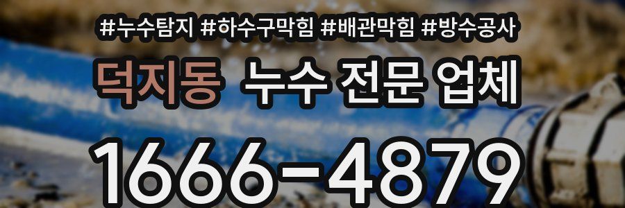덕지동 누수 전문 업체