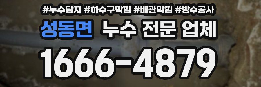 성동면 누수 전문 업체