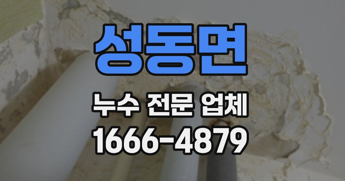 성동면 누수 전문 업체