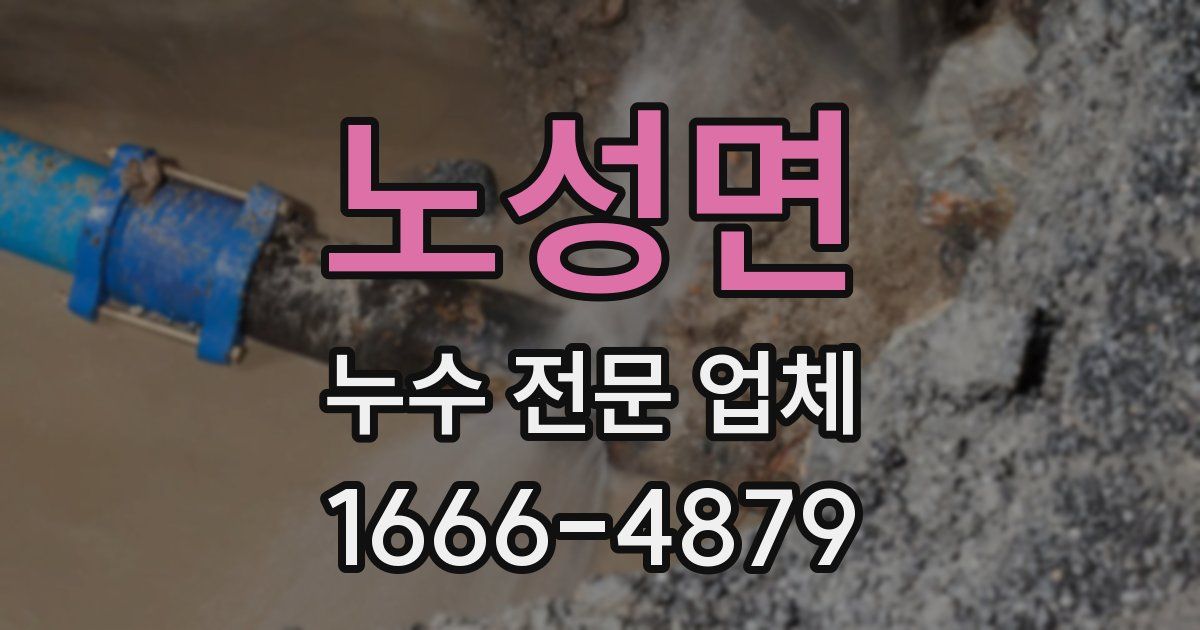노성면 누수 전문 업체
