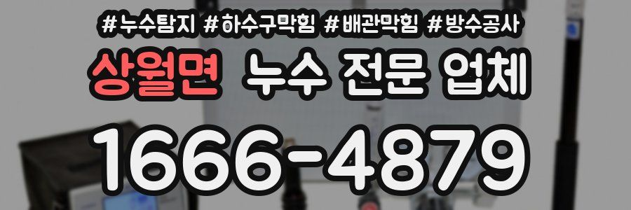상월면 누수 전문 업체