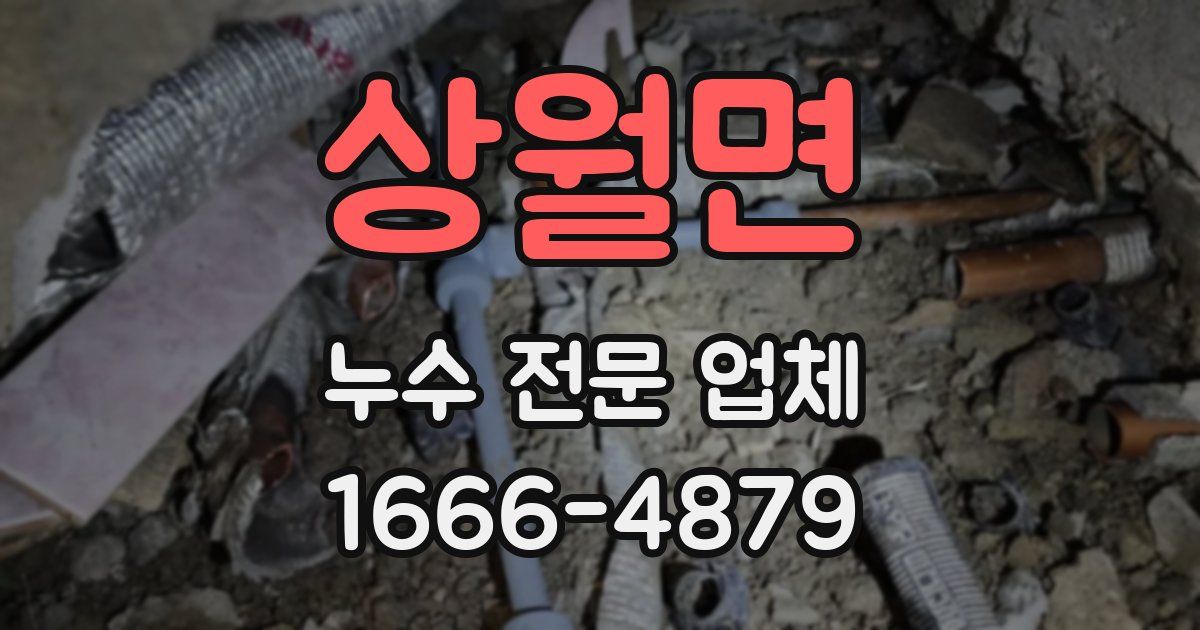 상월면 누수 전문 업체