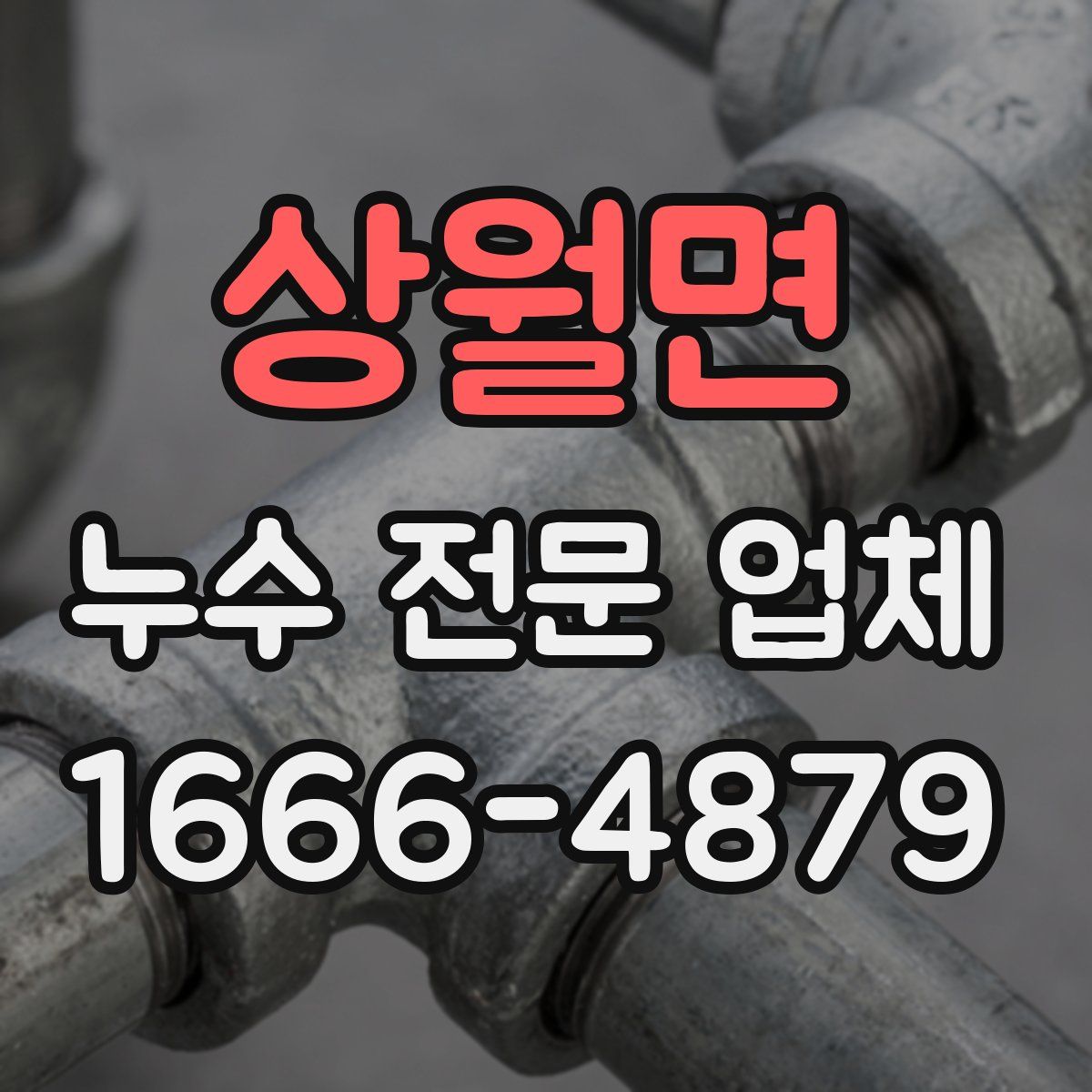 상월면 누수 전문 업체