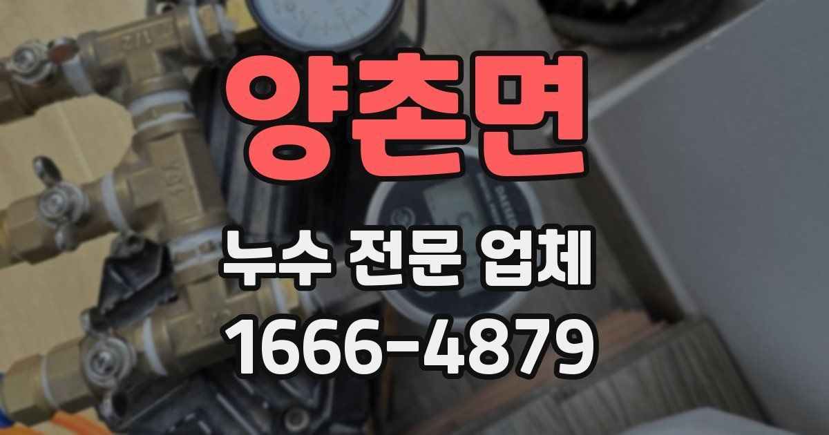 양촌면 누수 전문 업체